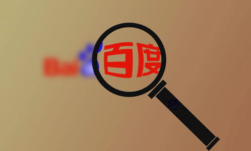 无名蜘蛛池
